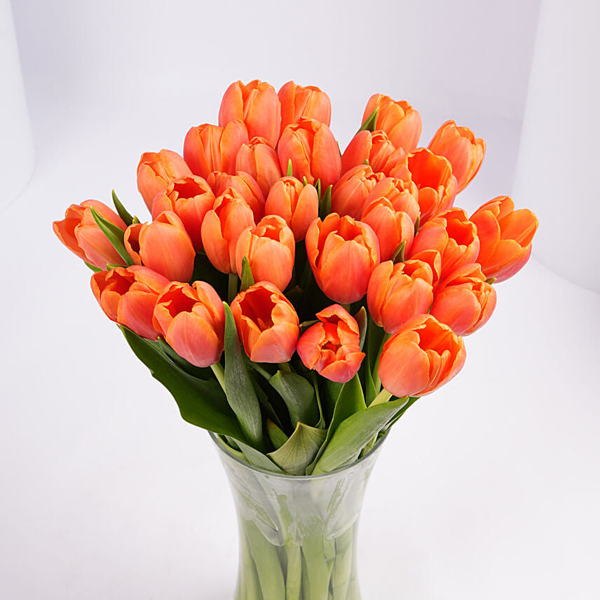 30 Orange Tulip Collection