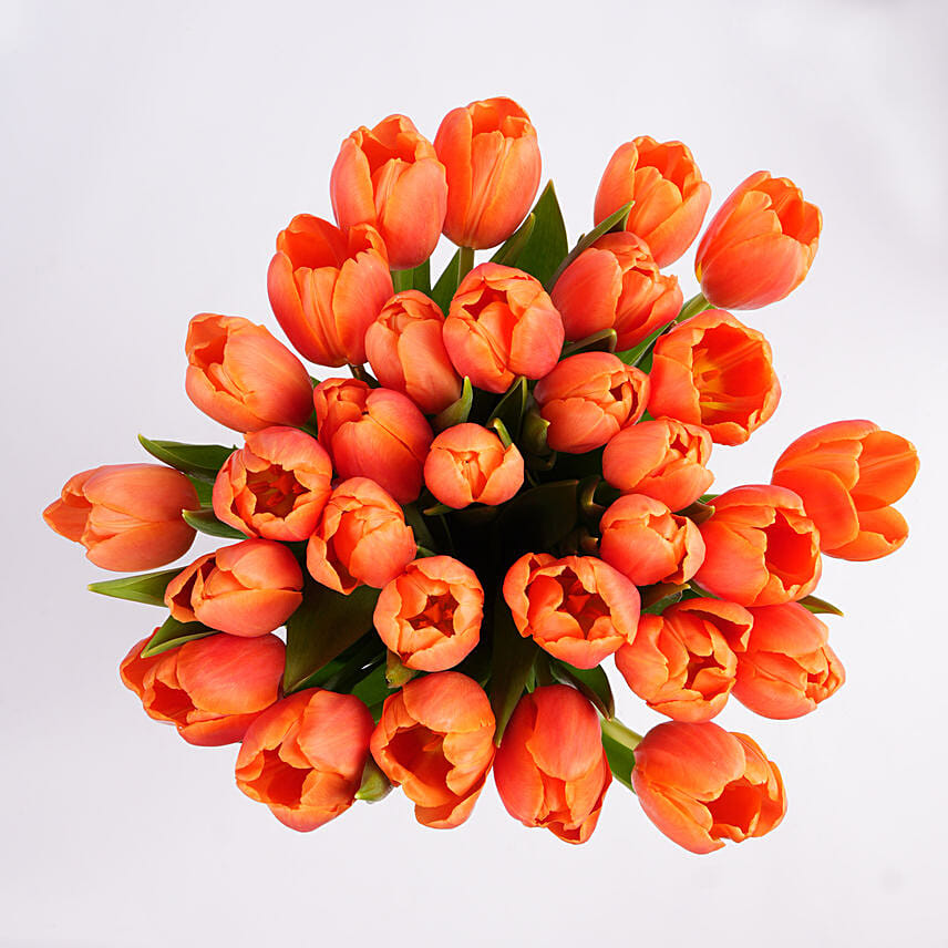 30 Orange Tulip Collection