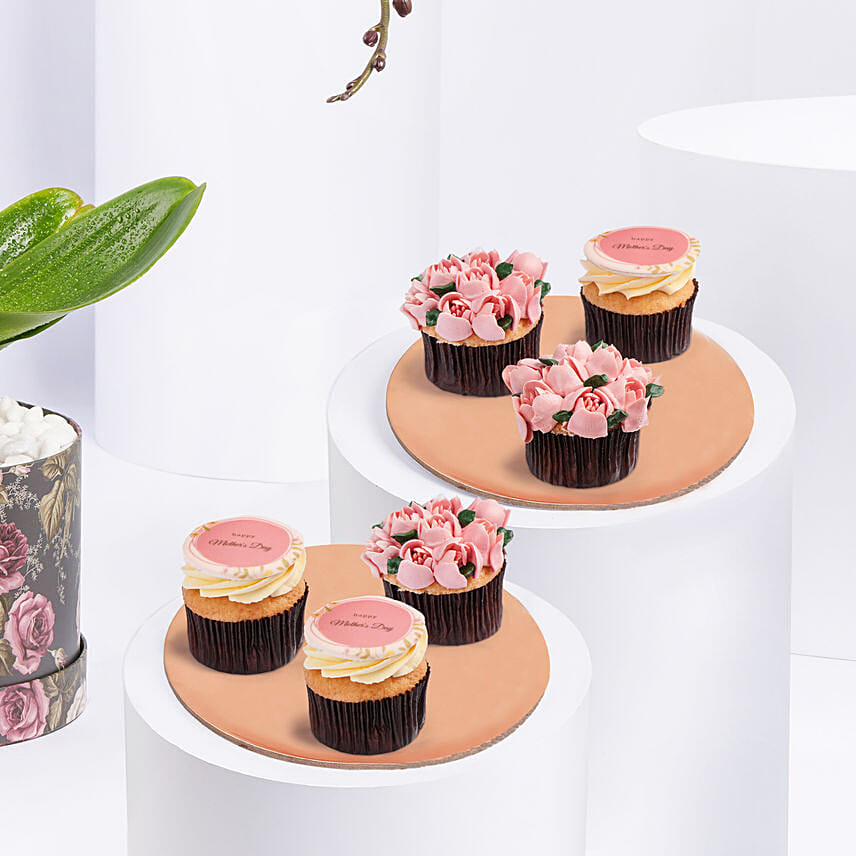 Orchid Plant And Cupcakes