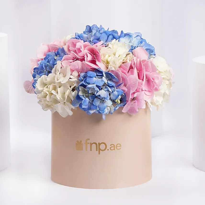 Pastel Hydrangea Mix Flower Box