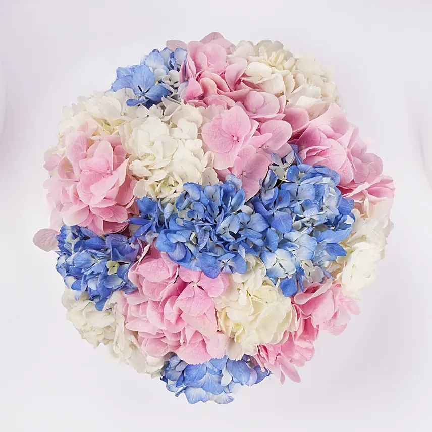 Pastel Hydrangea Mix Flower Box