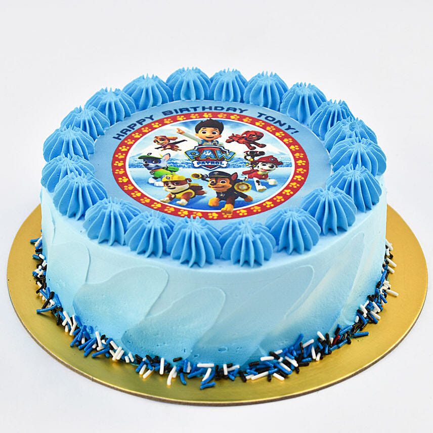 Paw Patrol Chocolate Cake For Birthday 8 Portion