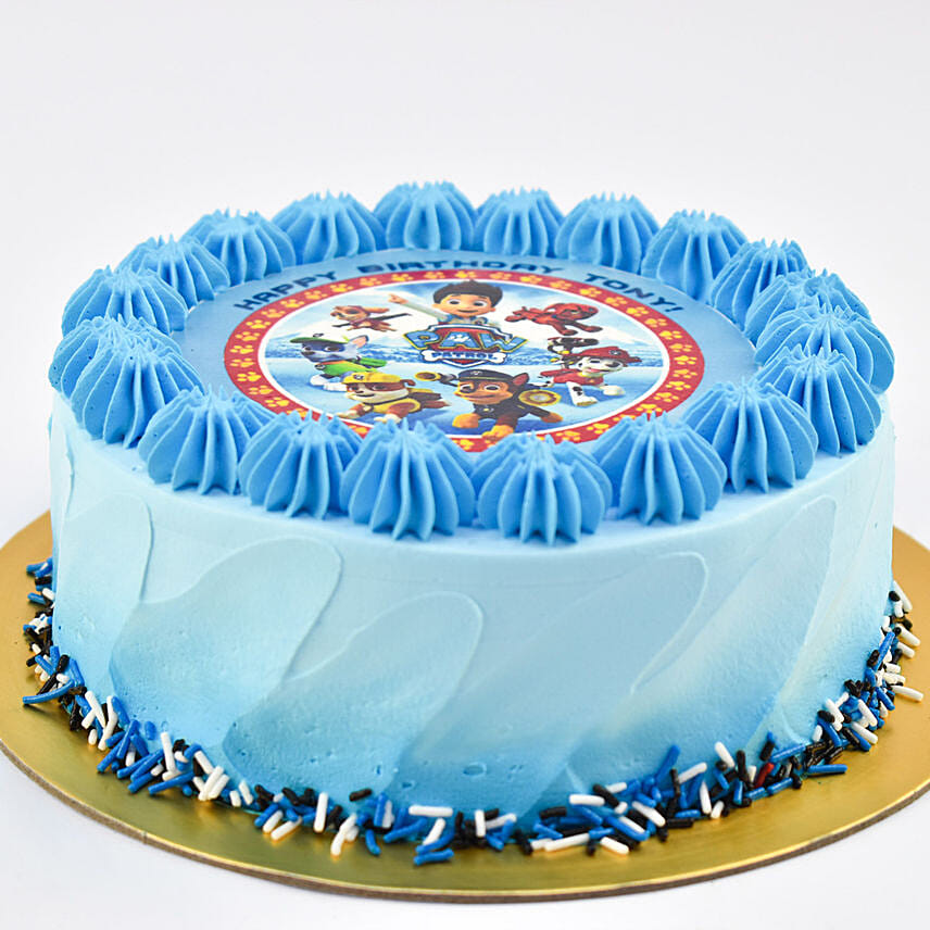 Paw Patrol Chocolate Cake For Birthday 8 Portion