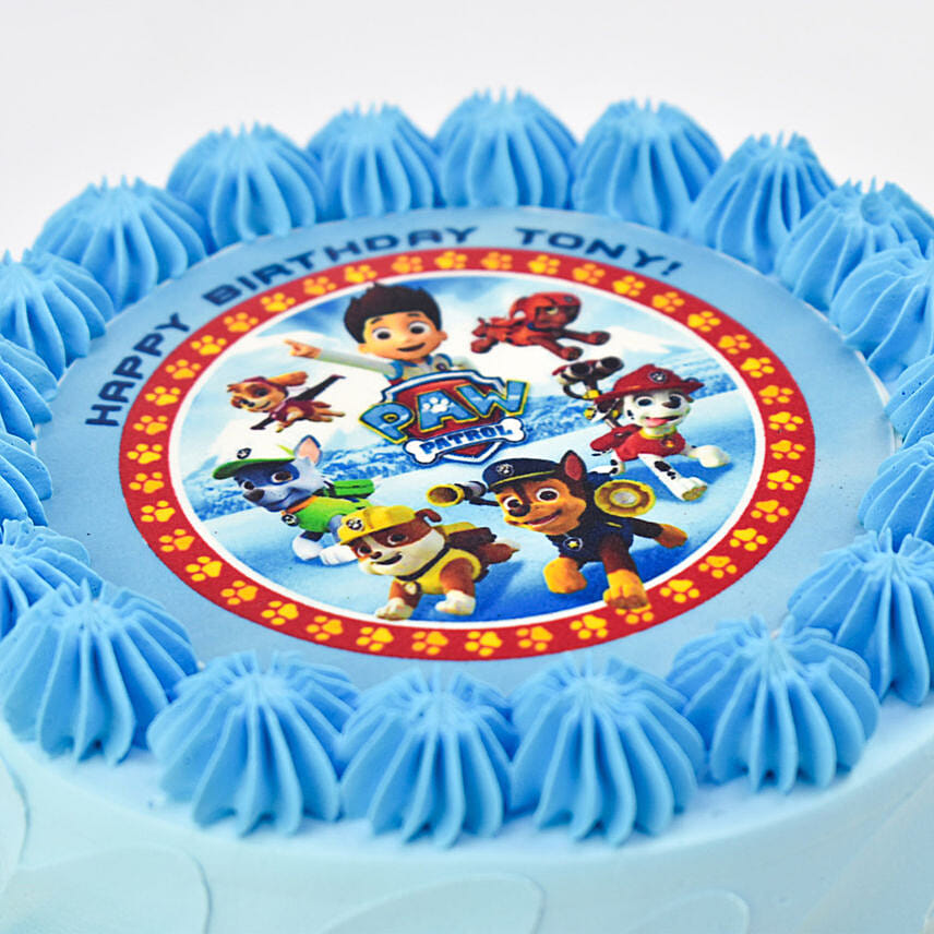 Paw Patrol Chocolate Cake For Birthday 8 Portion