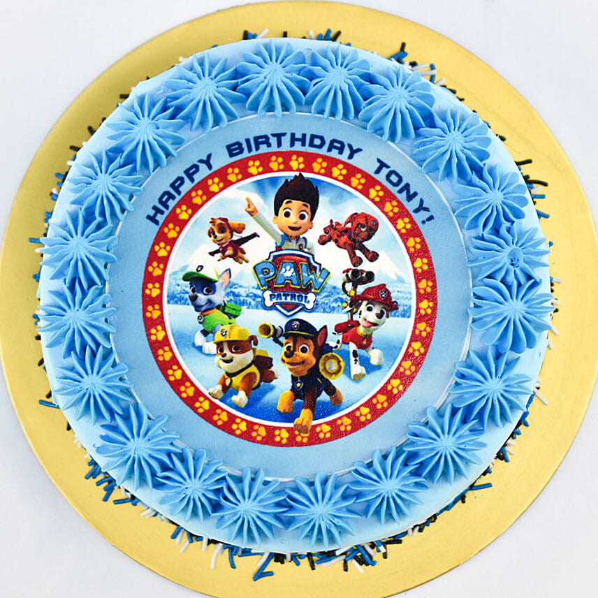 Paw Patrol Chocolate Cake For Birthday 8 Portion