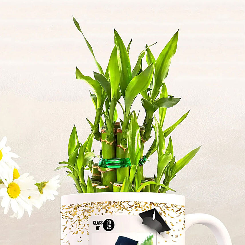 Personalised Graduation Mug with Lucky Bamboo