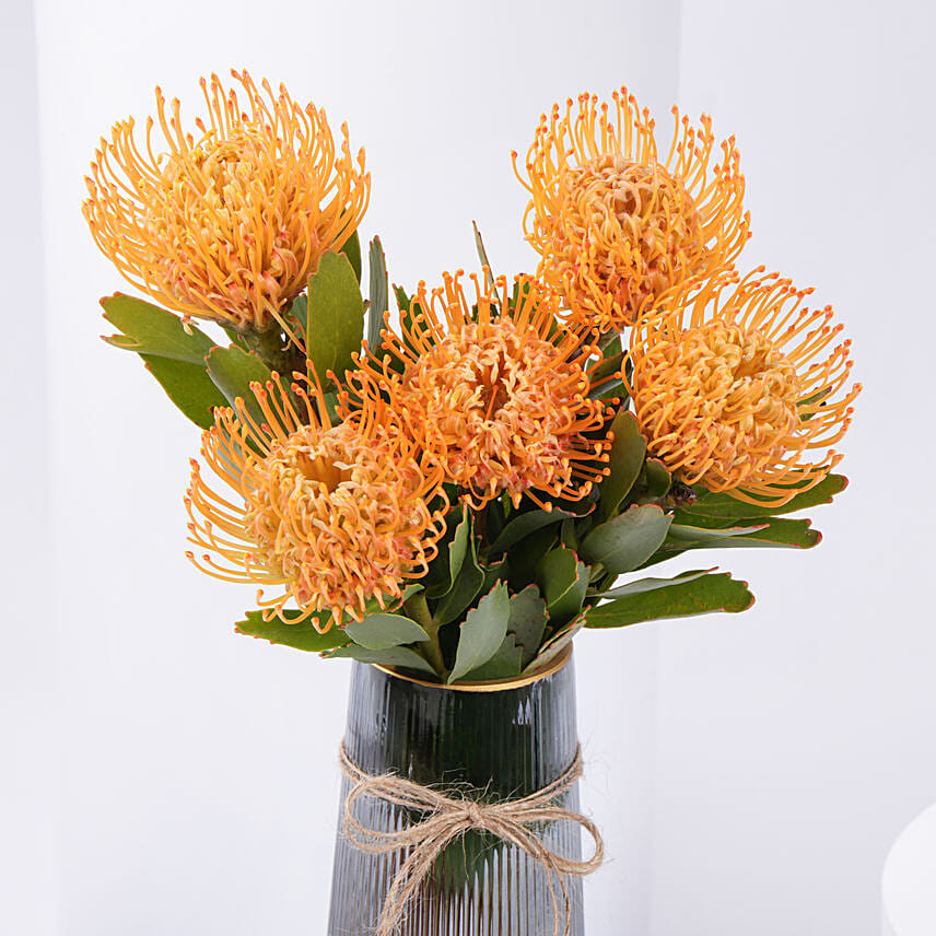 Pin Cushion Flowers In Vase