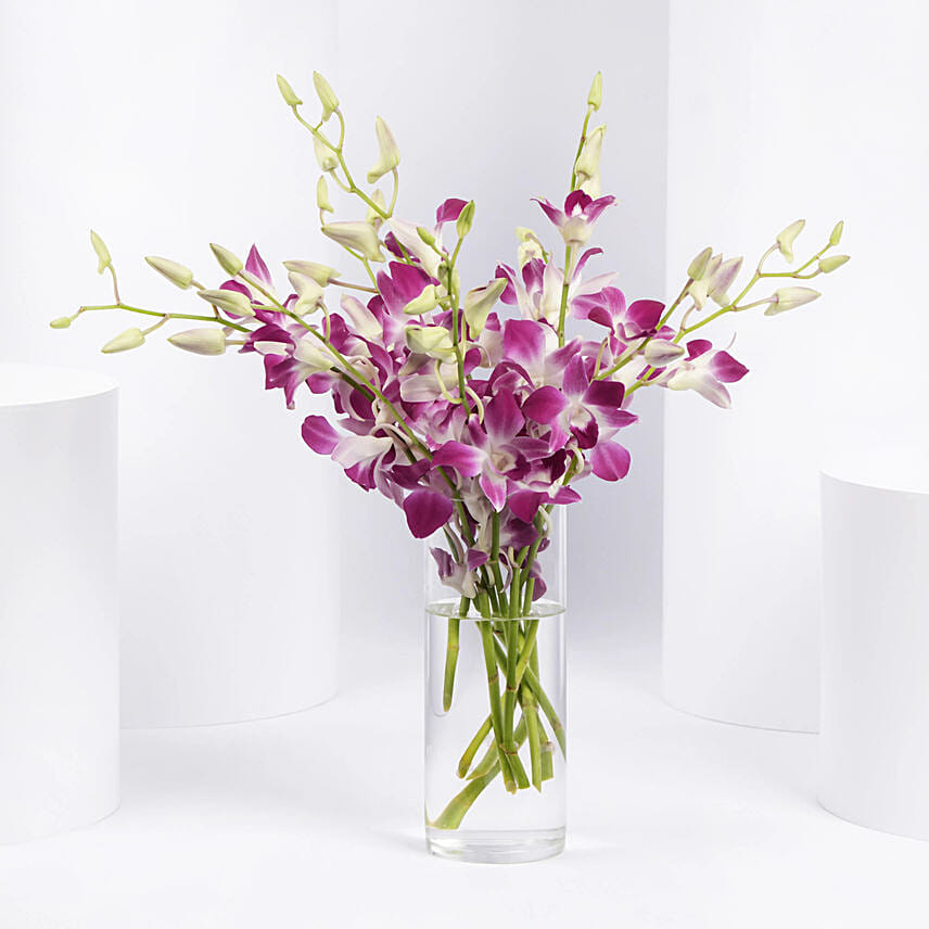 Pink Orchids in Glass Vase