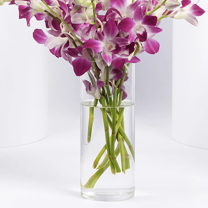 Pink Orchids in Glass Vase
