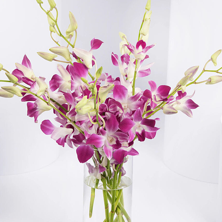Pink Orchids in Glass Vase