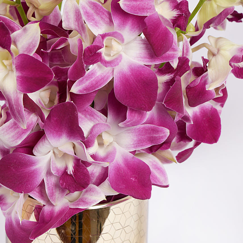 Pink Orchids in Glass Vase