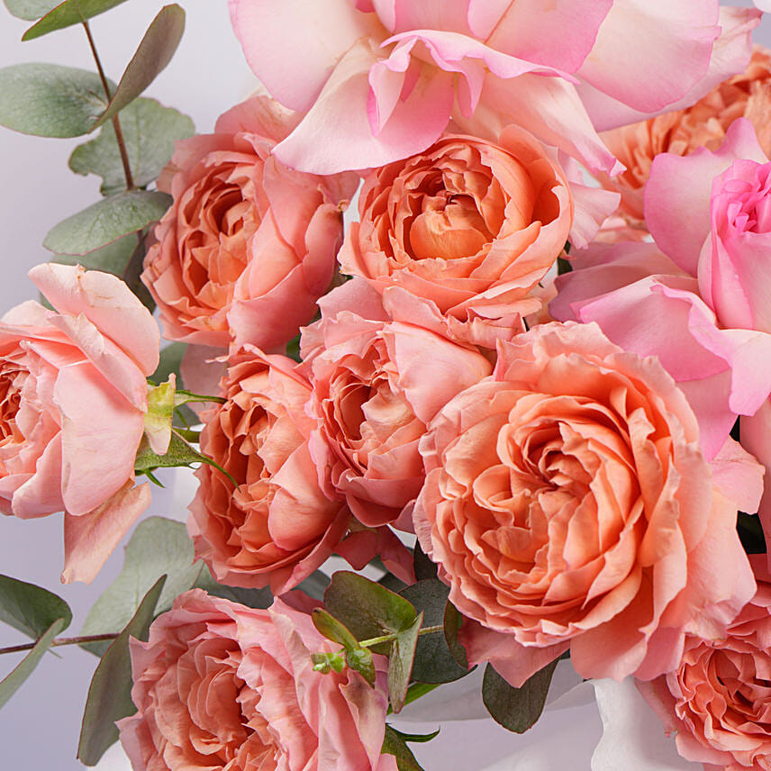 Premium Blush Roses Box For Womens Day