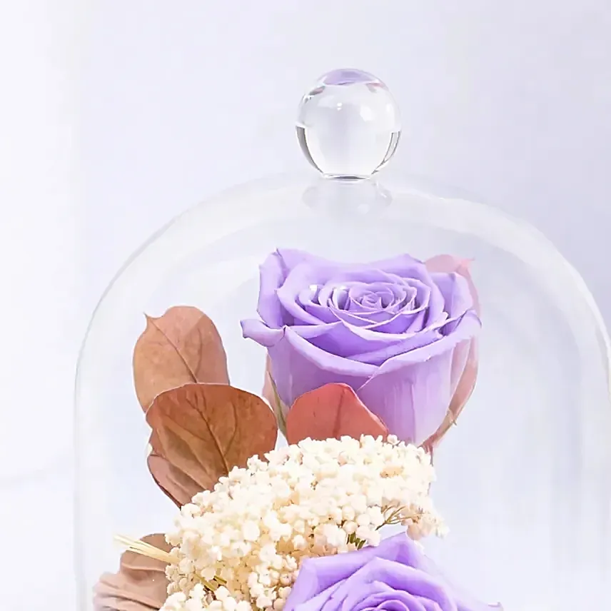 Preserved Purple Roses In Glass Dome