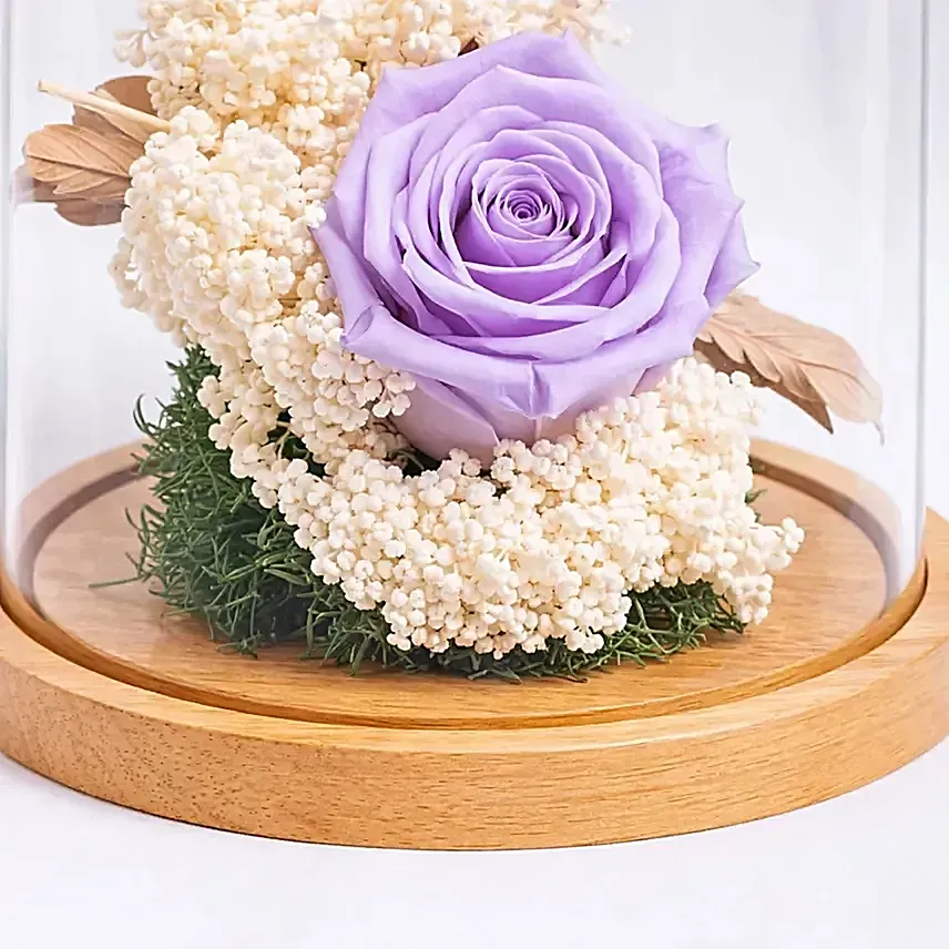 Preserved Purple Roses In Glass Dome