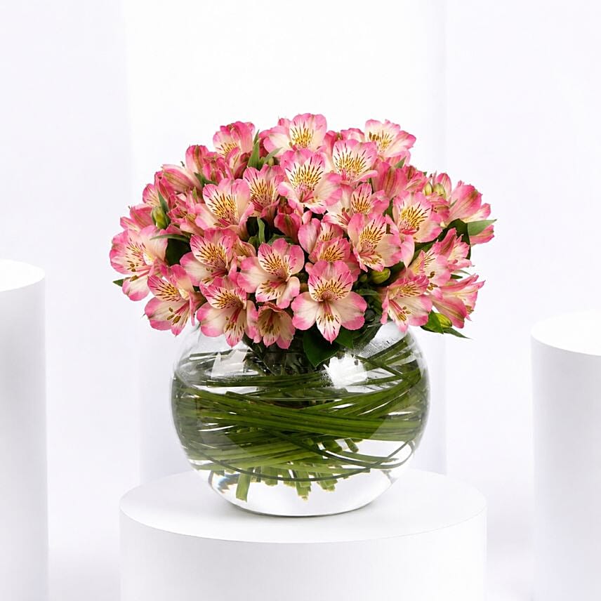 Purple Peruvian Lily Arrangement