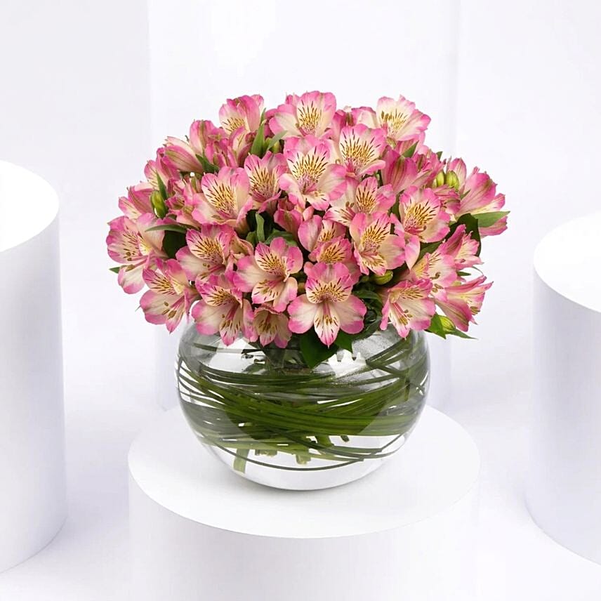 Purple Peruvian Lily Arrangement