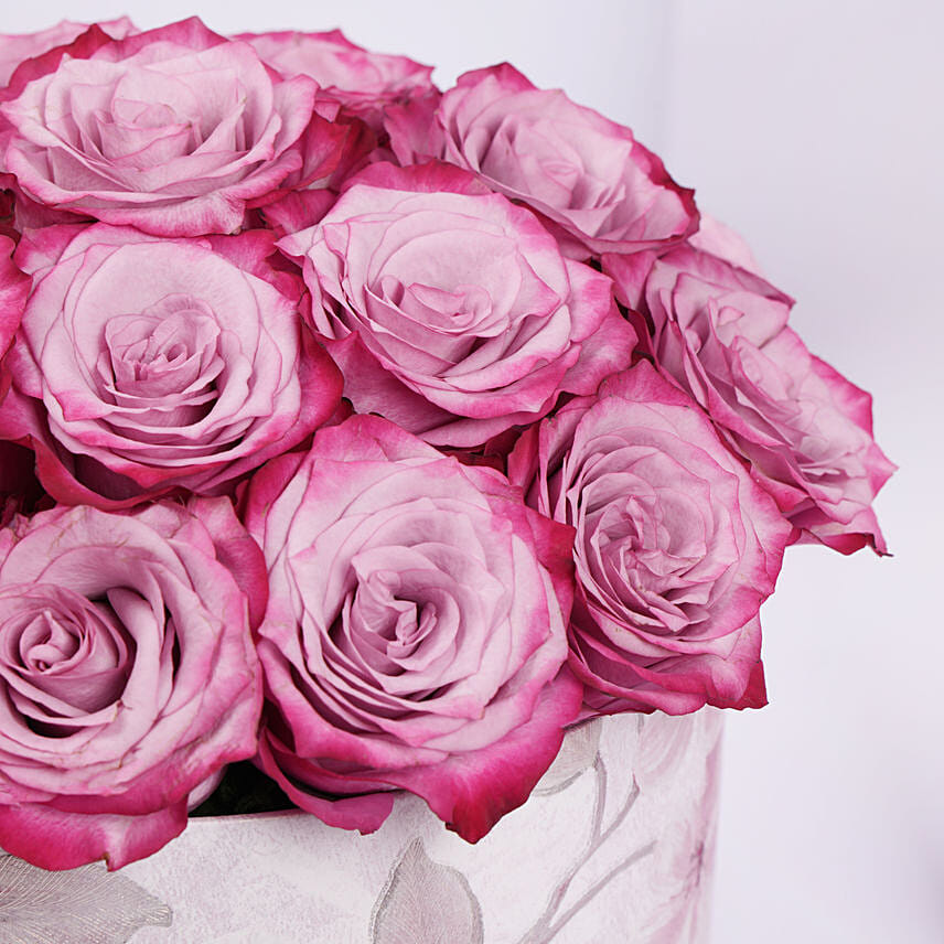 Purple Roses Splendour Box