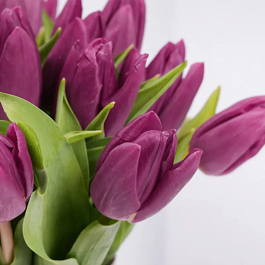 Purple Tulips in Glass Vase