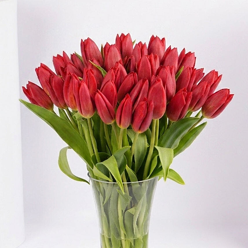 Red Tulip Arrangement Premium