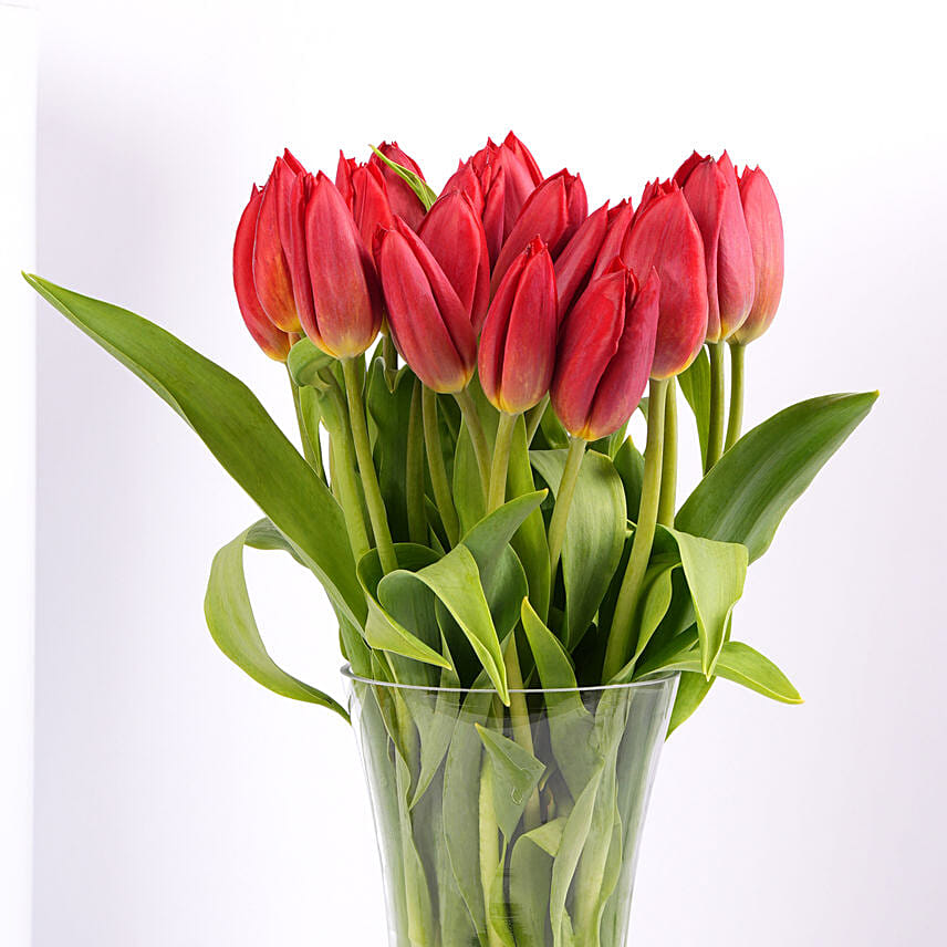 Red Tulip Arrangement Standard