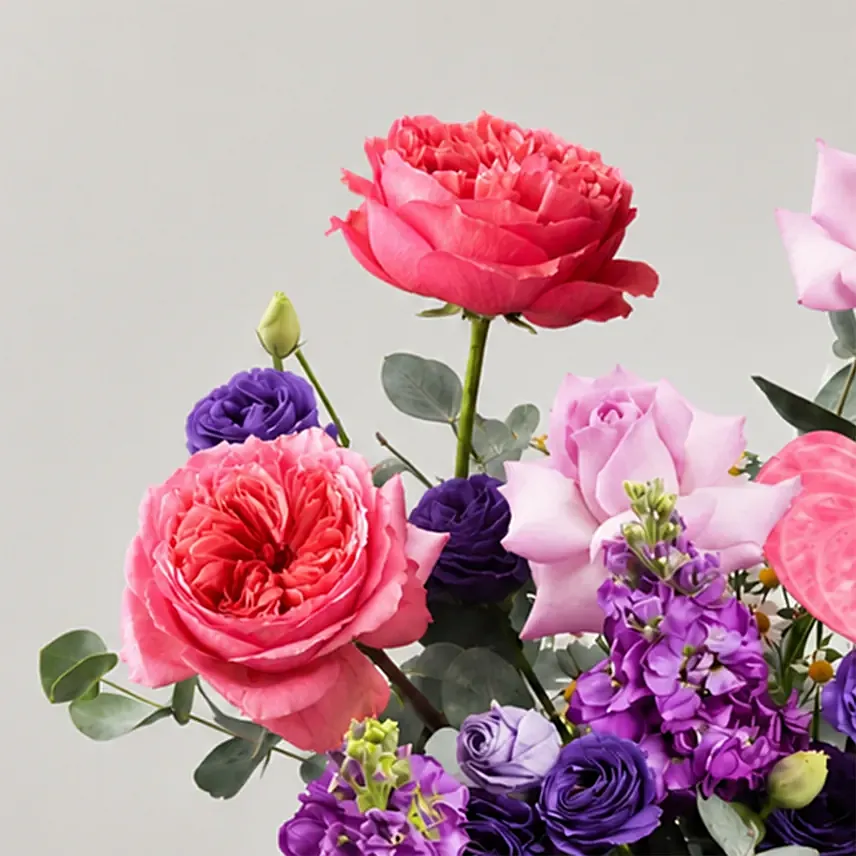 Blush Reverie Crown Collection