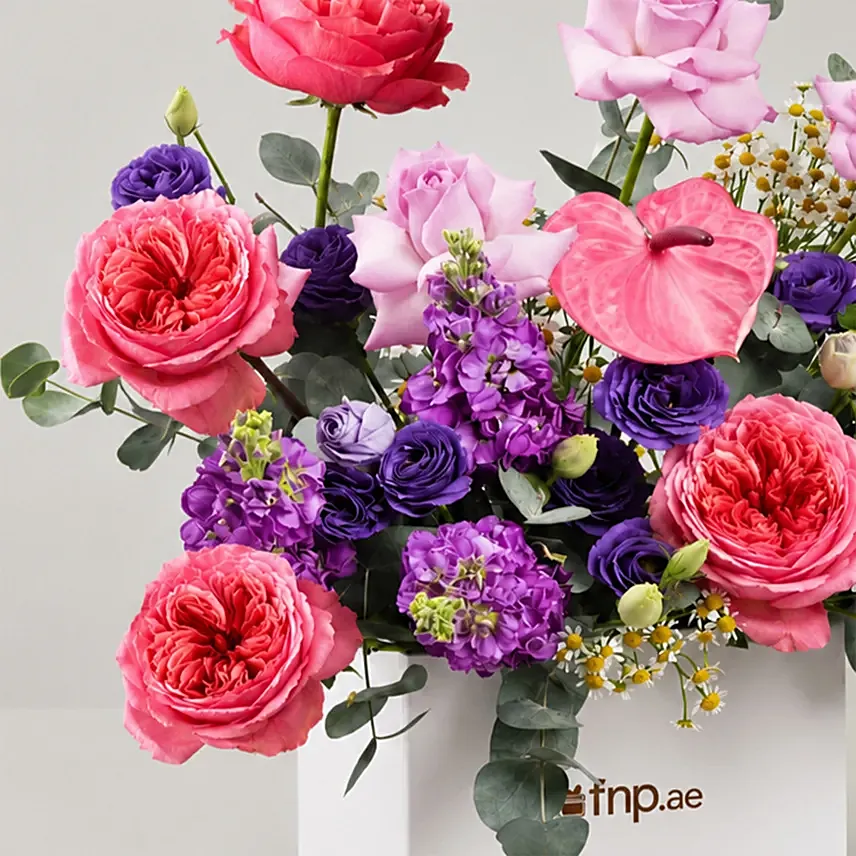 Blush Reverie Crown Collection