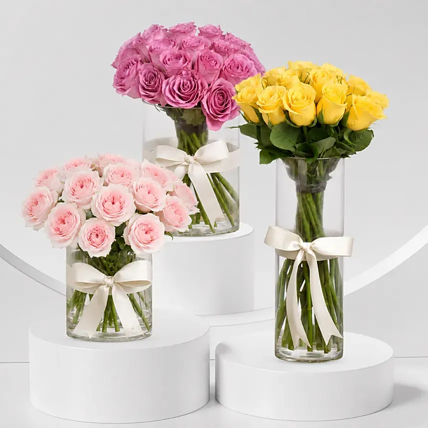 Roses Beauty Trio