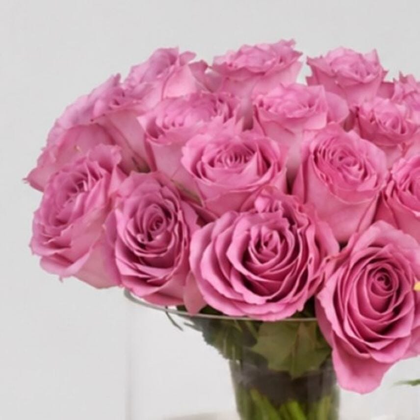 Roses Beauty Trio