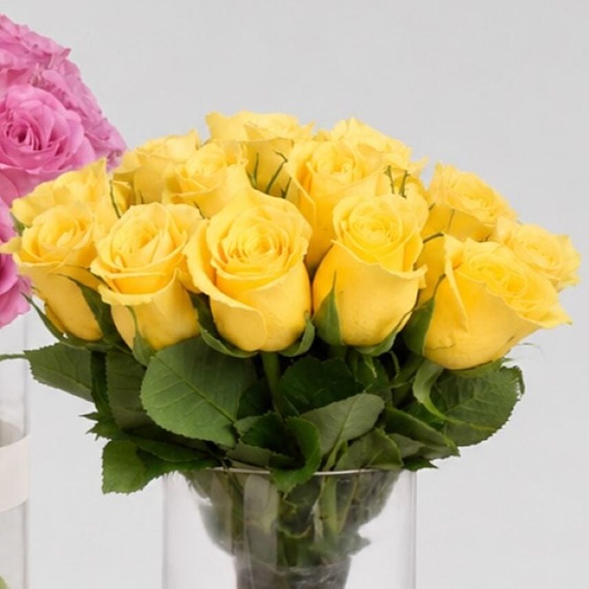 Roses Beauty Trio