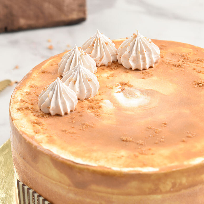 Salted Caramel Ice Cream Cake 12 Portion