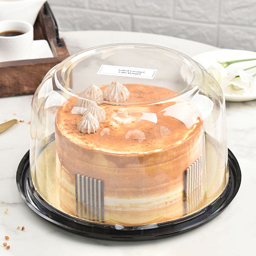 Salted Caramel Ice Cream Cake 12 Portion