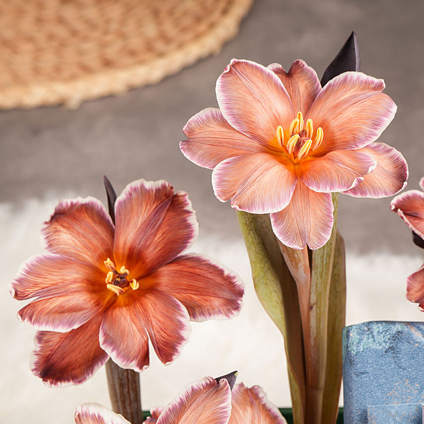 Samsung Z Flip 5 Gift with Tulips