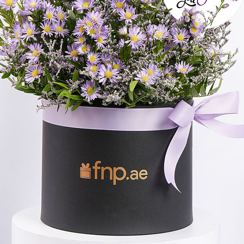Birthday Aster Flowers in a box