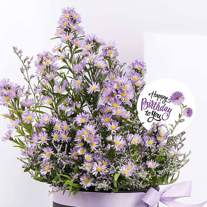 Birthday Aster Flowers in a box