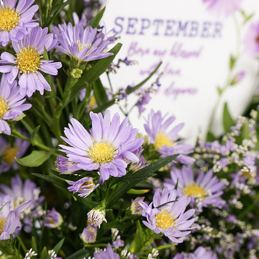 Birthday Aster Flowers in Vase