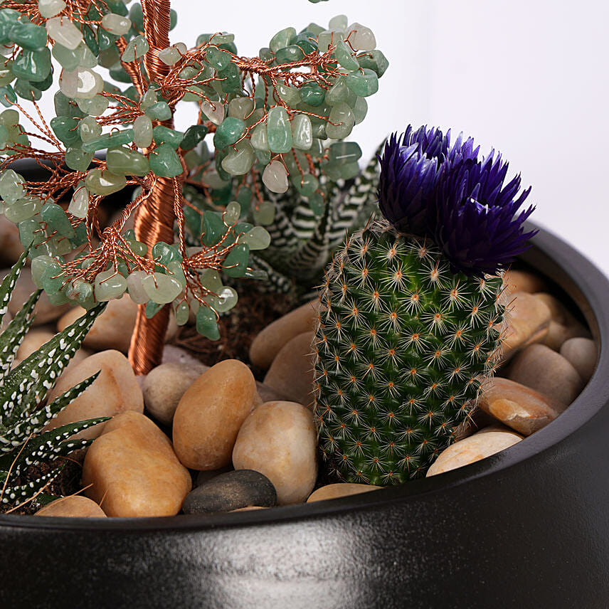 Serene Garden Succulent Planter