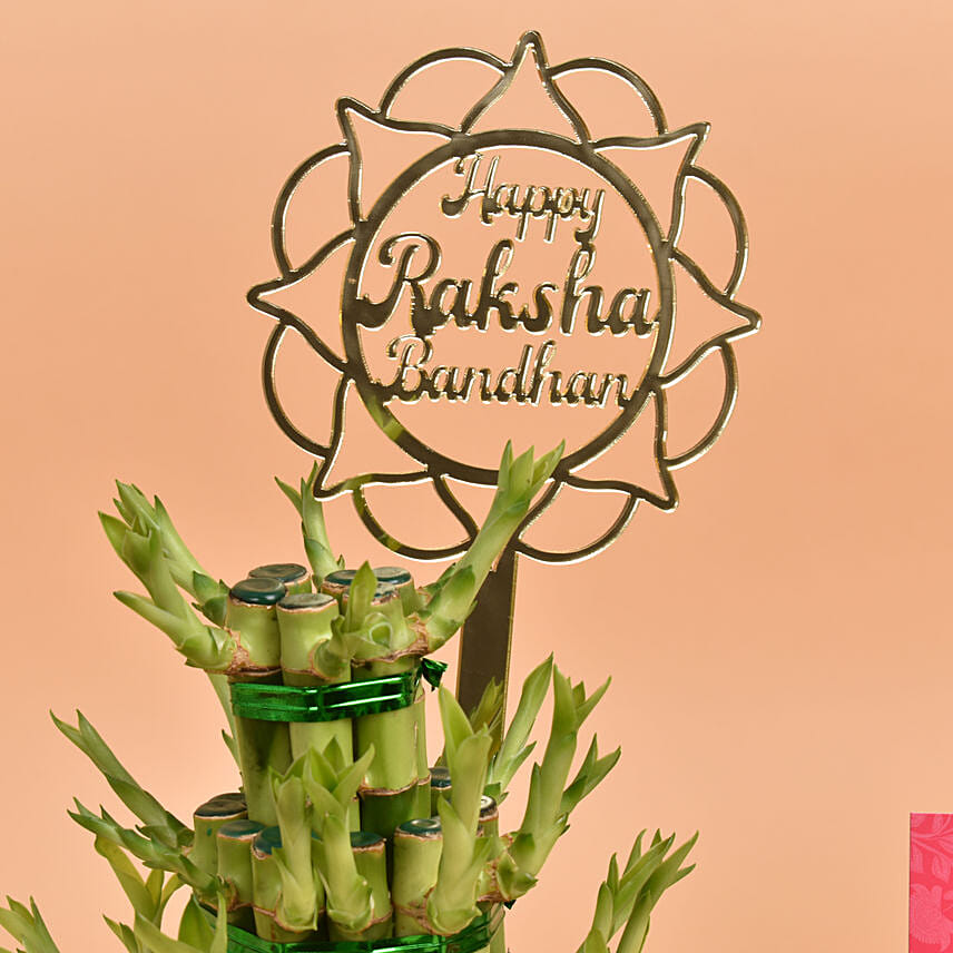 Set of 5 Rakhi with Lucky Bamboo Plant