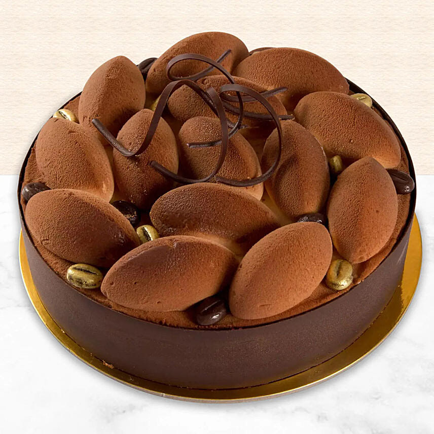 Sixteen Portion Tiramisu Cake