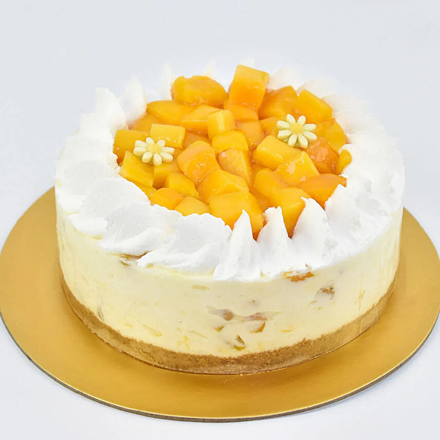 Special Mango Cheesecake 8 Portion