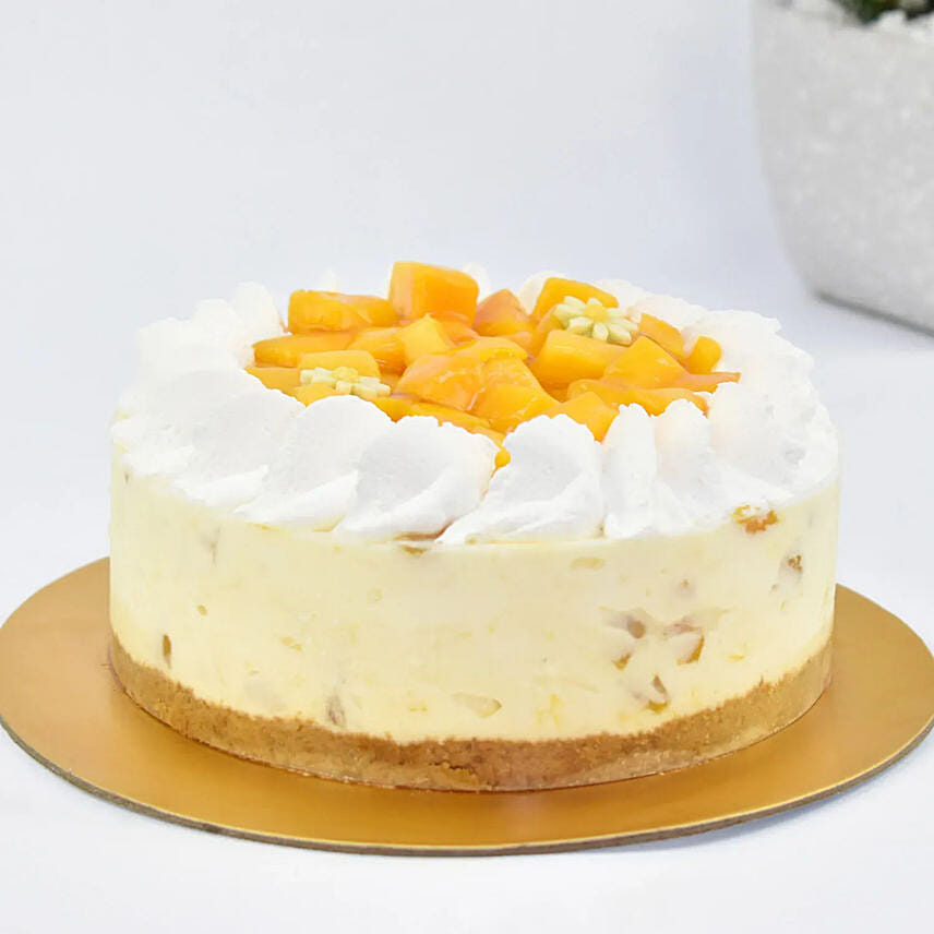 Special Mango Cheesecake 8 Portion