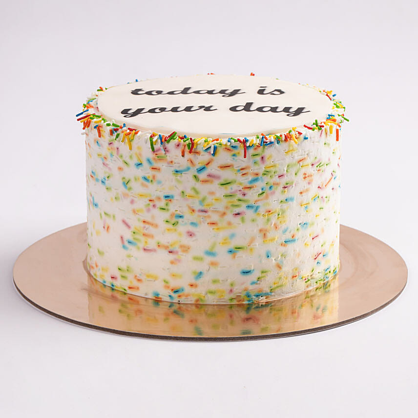 Special Moments Celebration Chocolate Cake Half Kg Eggless