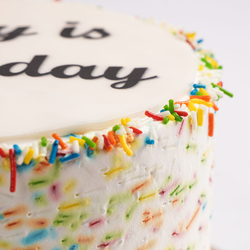 Special Moments Celebration Chocolate Cake Half Kg Eggless