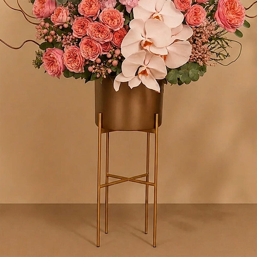Stratling Flower Beauty