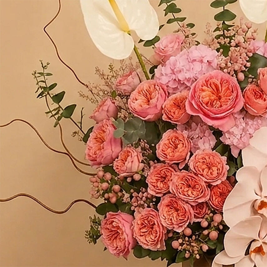 Stratling Flower Beauty