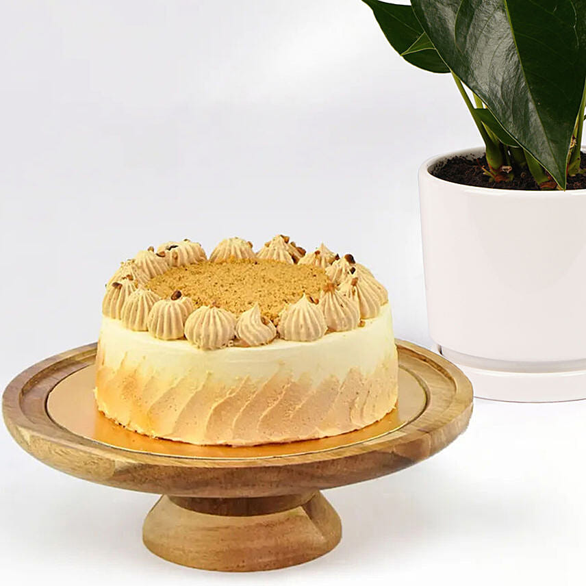 Sugar Free Butterscotch Cake and Plants
