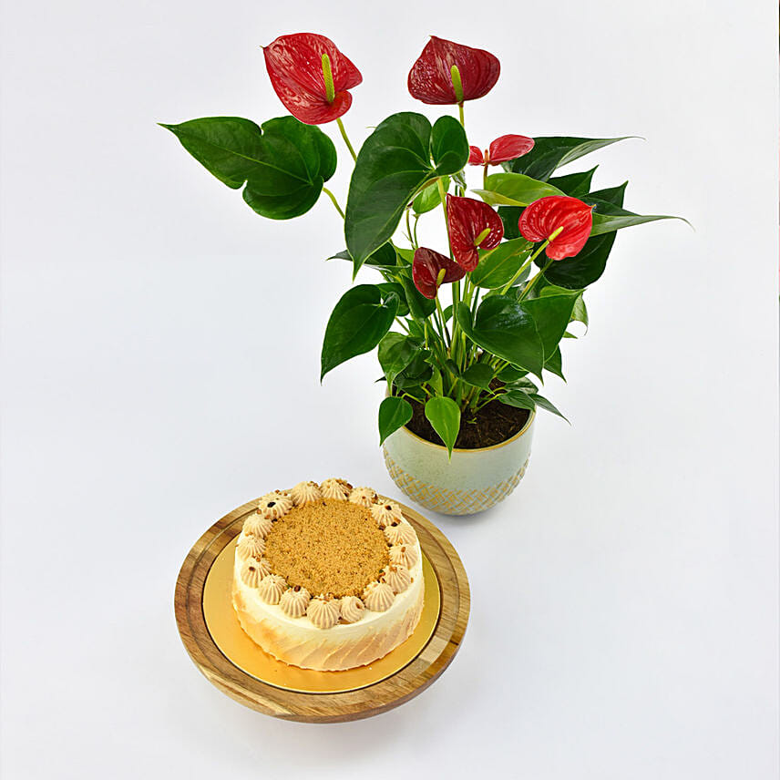 Guilt Free Butterscotch Cake with Plants