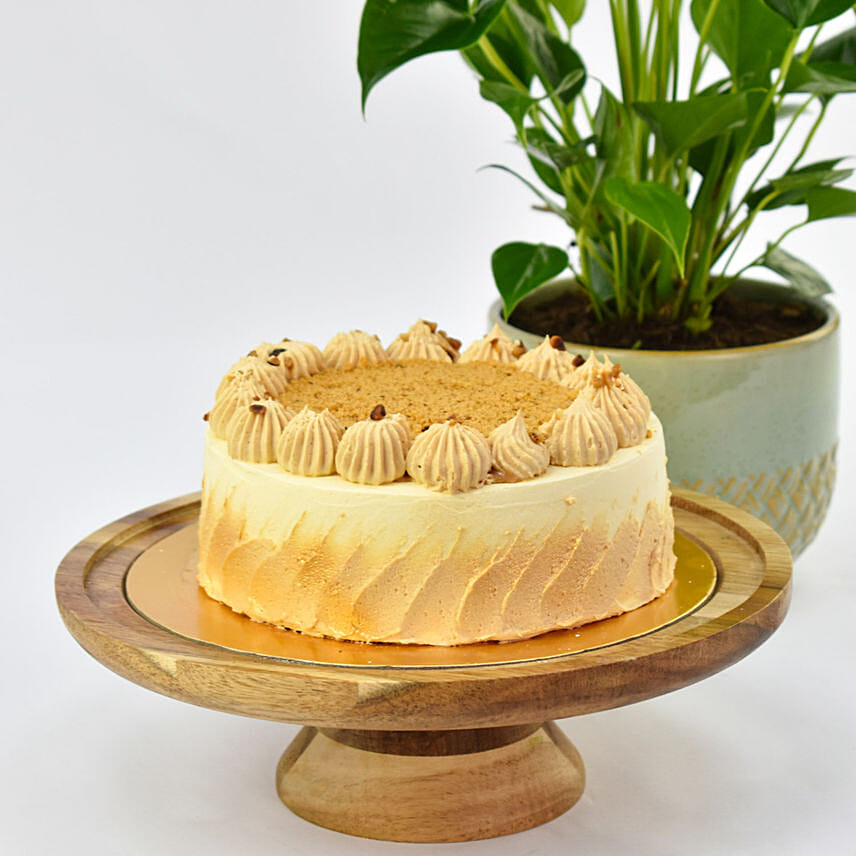 Guilt Free Butterscotch Cake with Plants