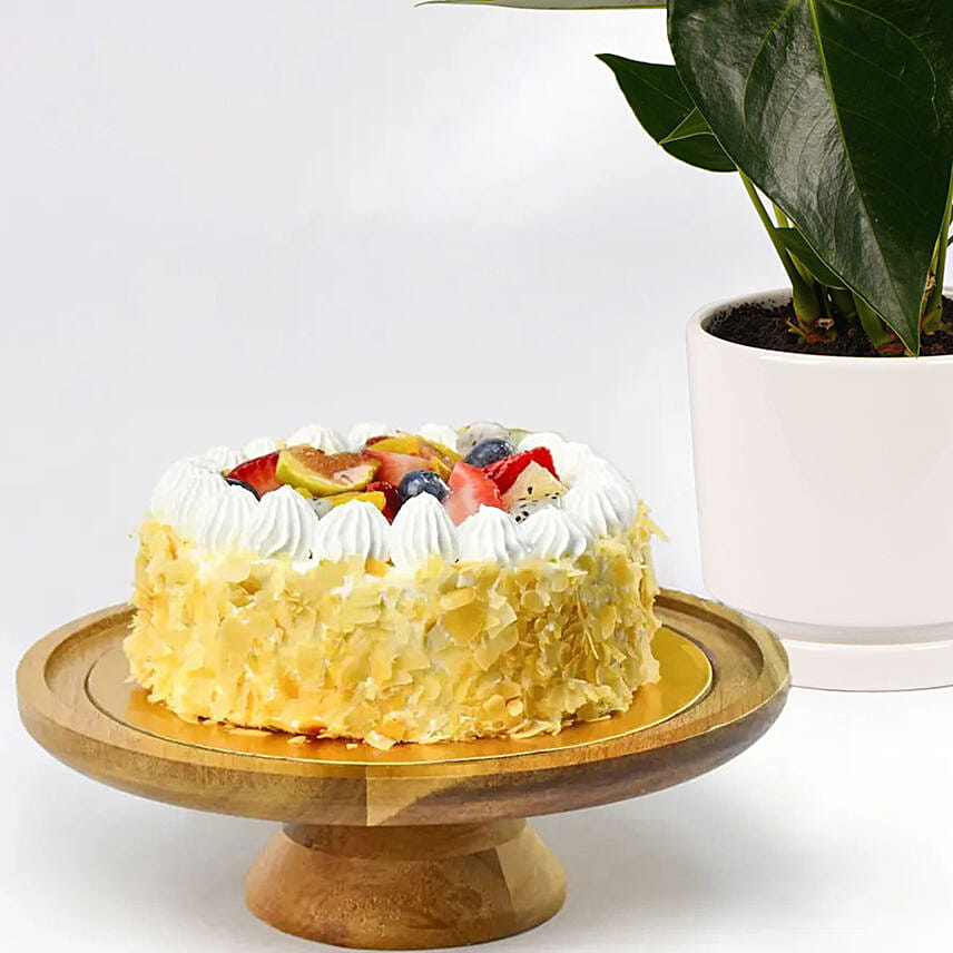 Guilt Free Cake and Plant
