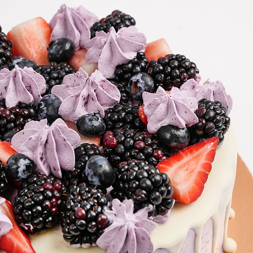 Guilt Free Vanilla Berry Delight- Half Kg