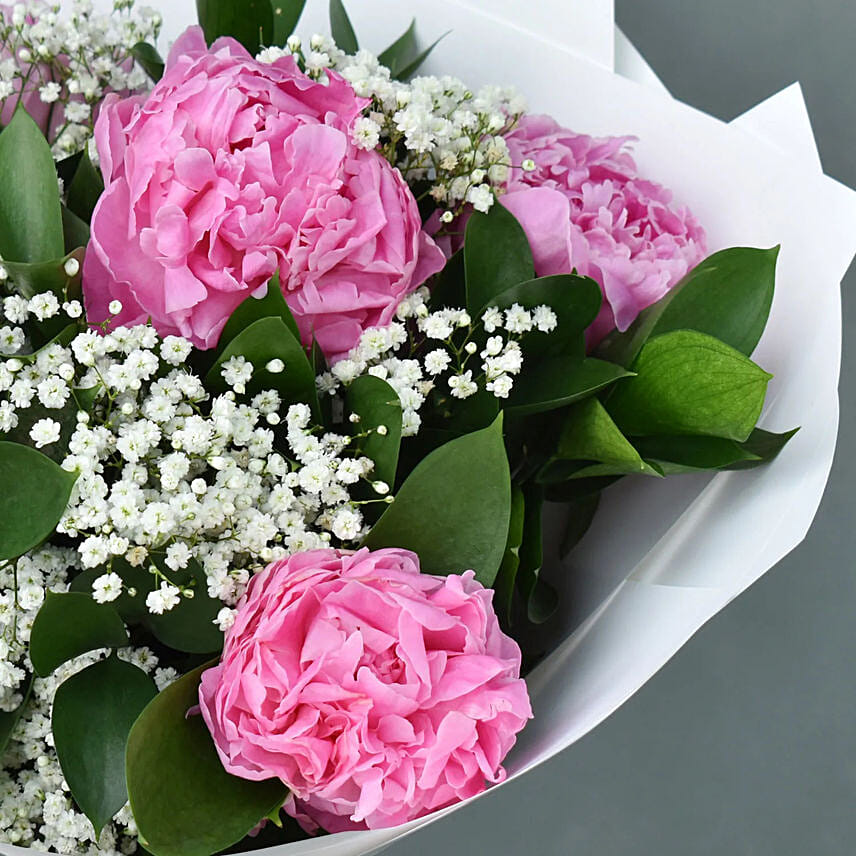 Sweet Blooms